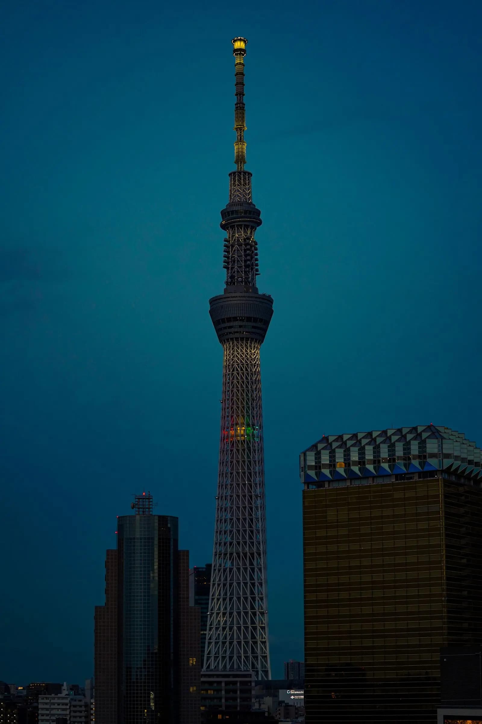 La Tokyo Skytree illuminée dans le ciel de Tokyo — voyage organisé au Japon