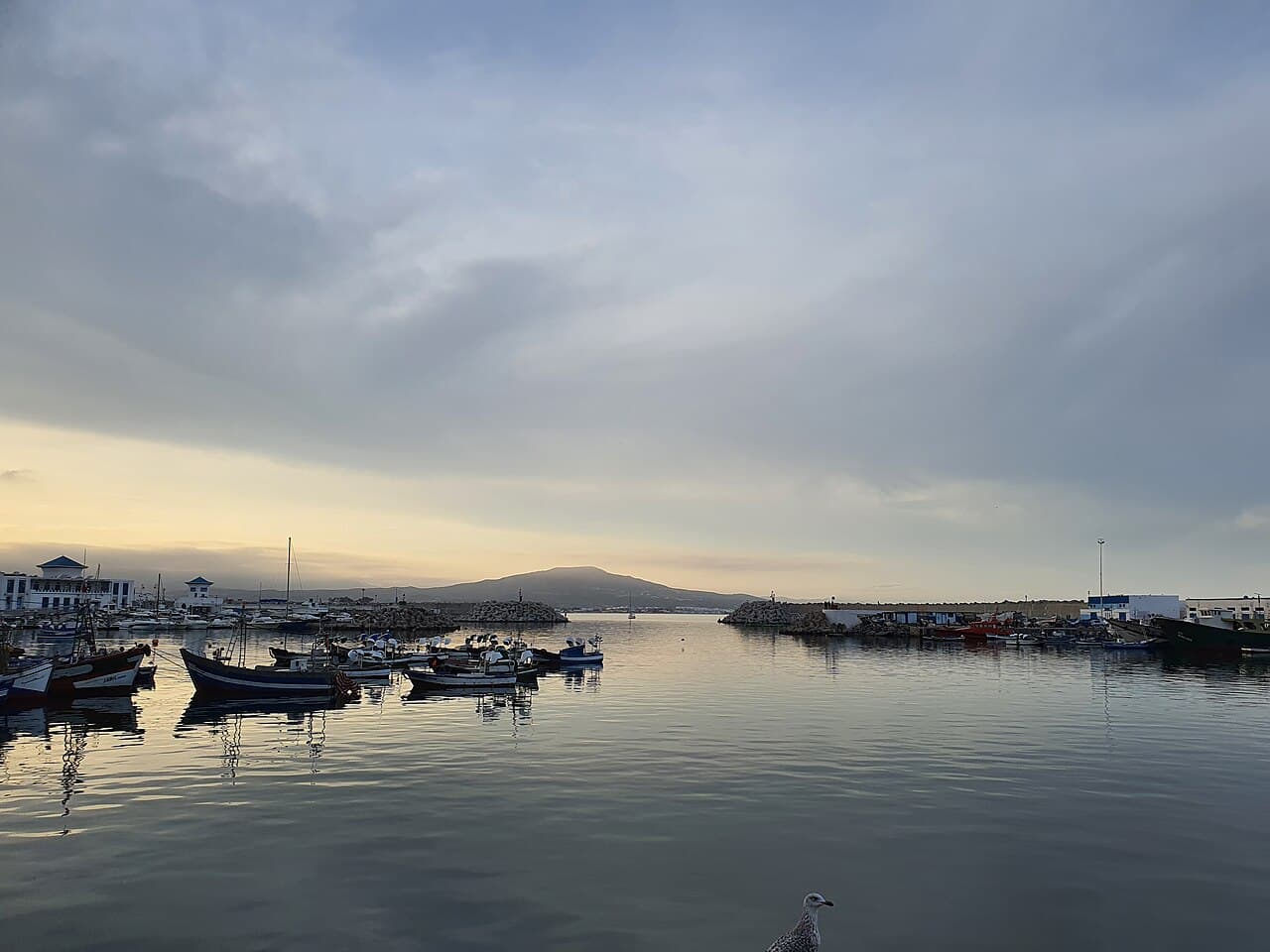 Port de M'diq au crépuscule, barques amarrées et montagnes à l'horizon