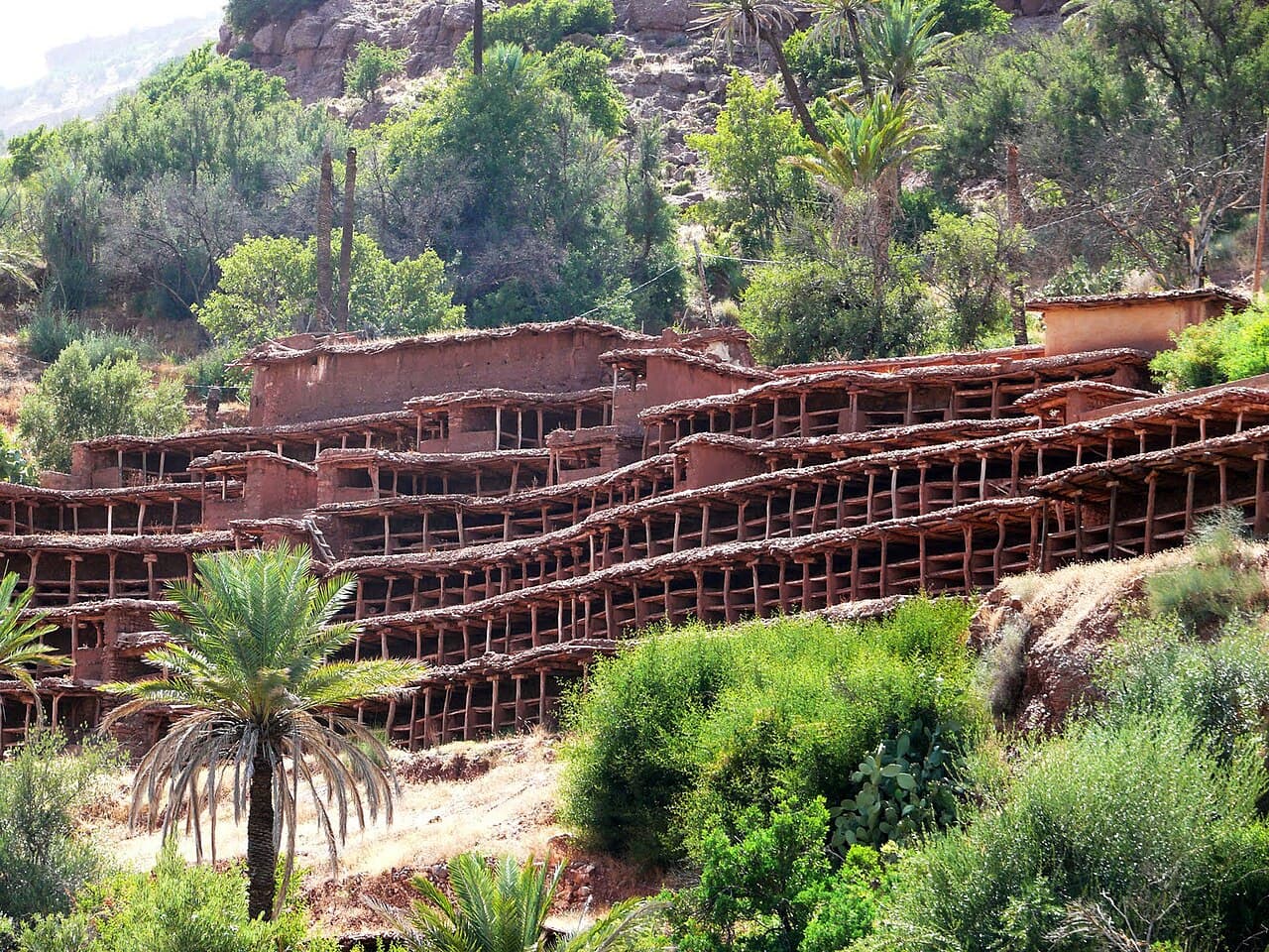 Rucher en terrasses d'Inzerki entouré de palmiers, dans les montagnes des Ida Outanane au nord d'Agadir