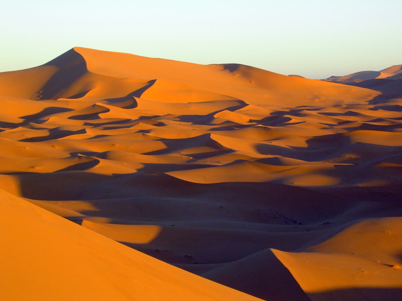 Dunes dorées de l'Erg Chebbi striées d'ombres en fin de journée, à Merzouga