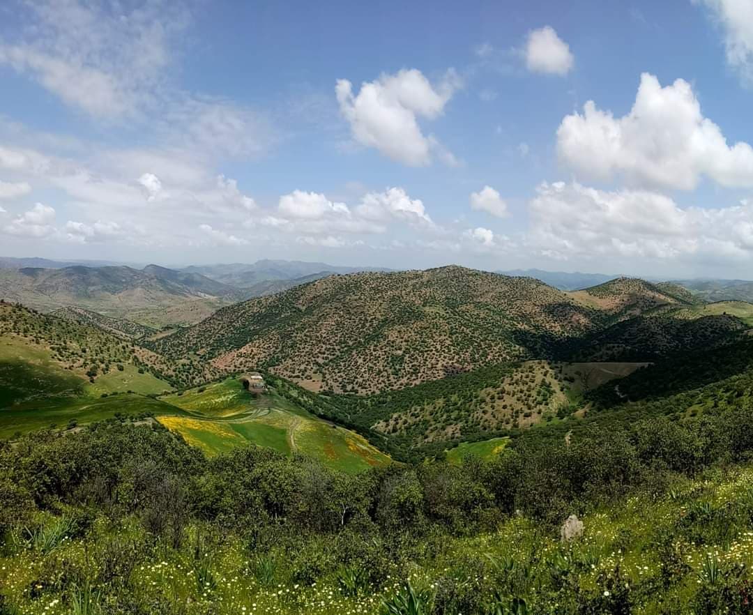 Collines verdoyantes et vallées boisées de la province de Khénifra au printemps