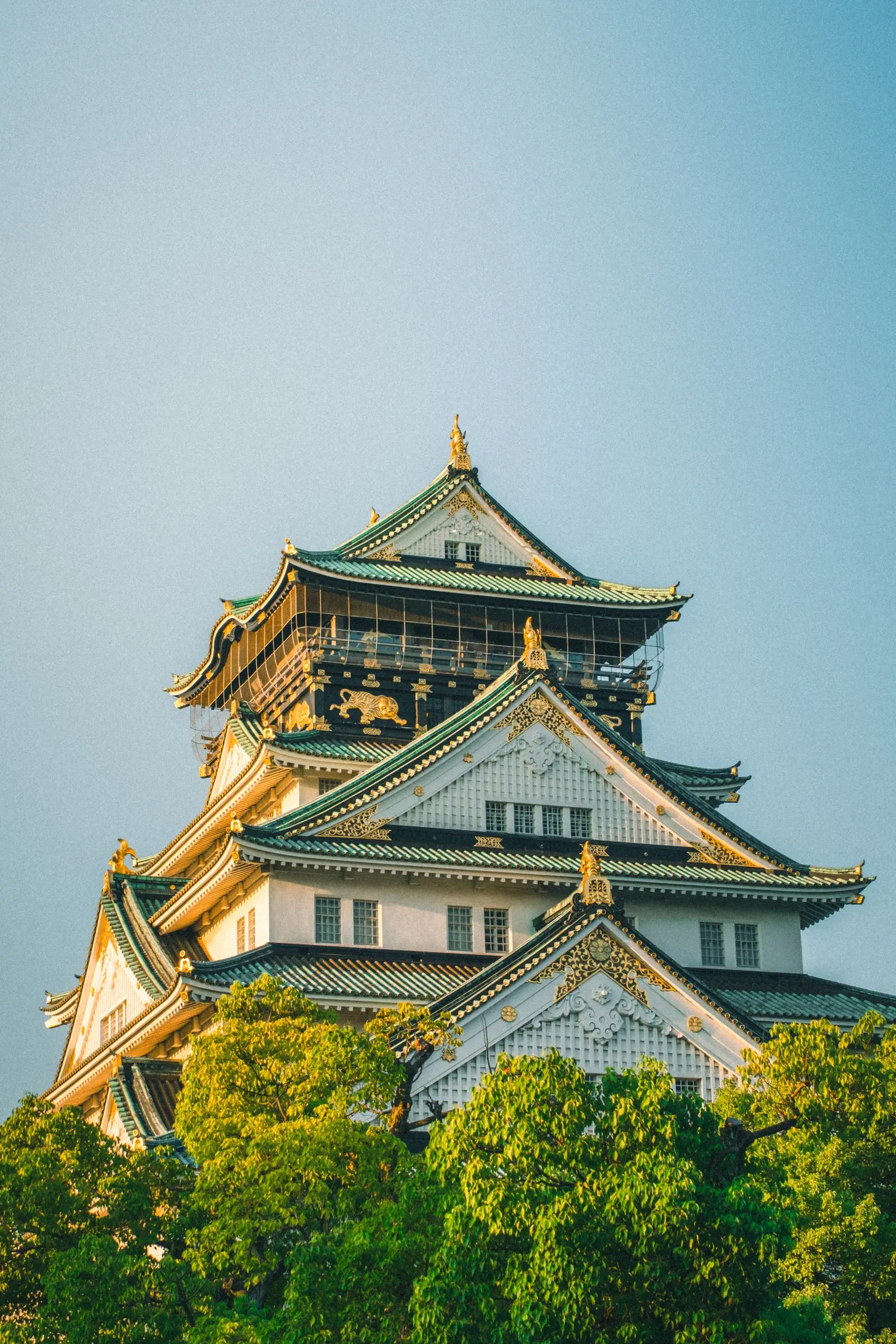Le donjon du château d'Osaka et ses toits vert et or