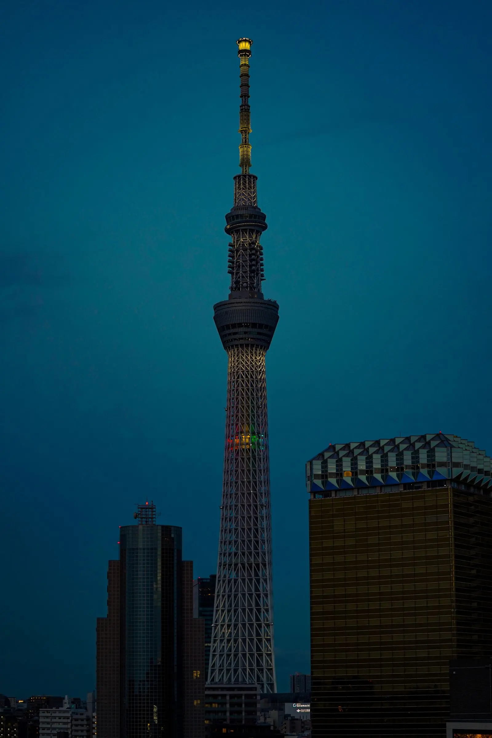 La Tokyo Skytree illuminée dans le ciel de Tokyo