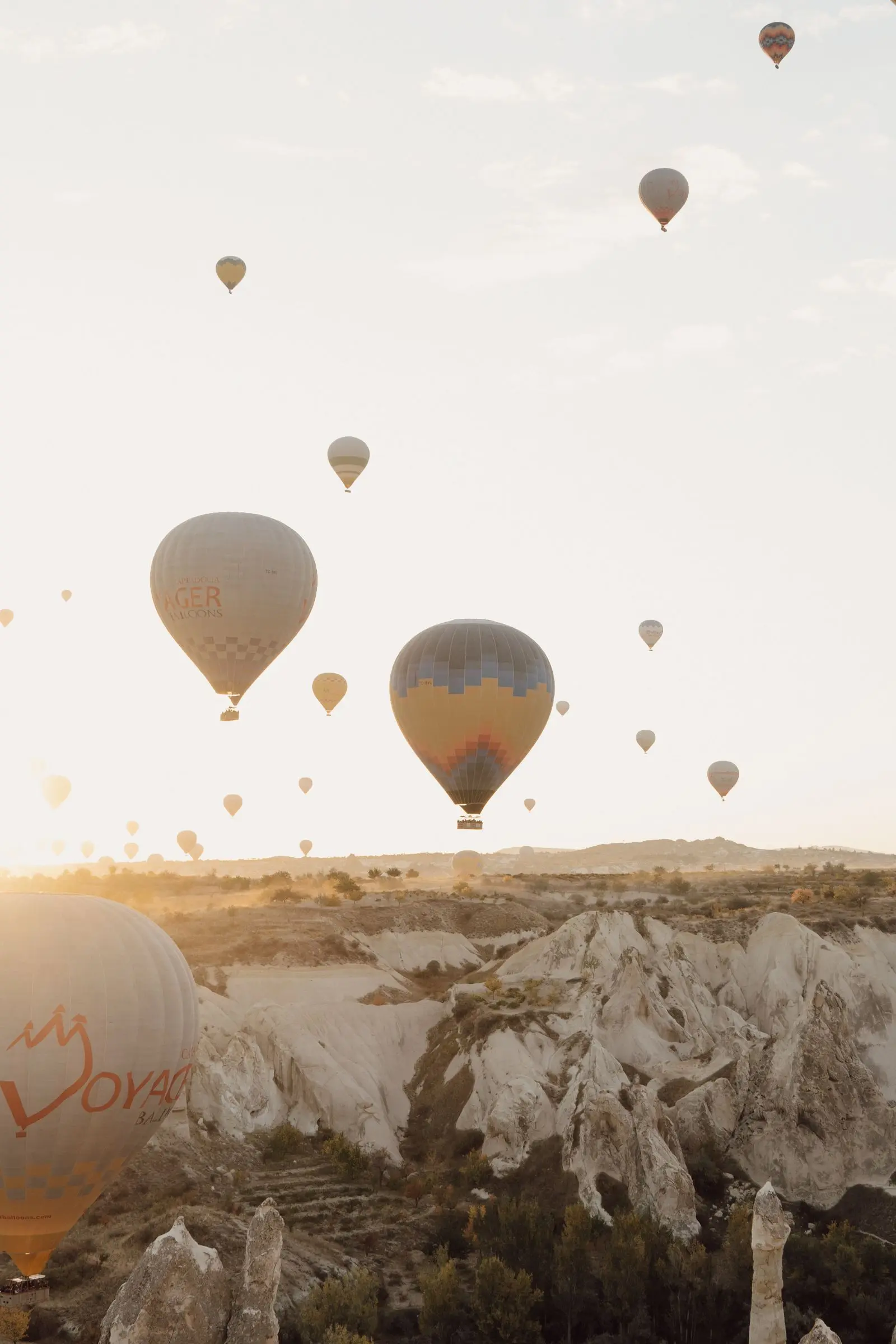 Montgolfières au lever du jour au-dessus des vallées de Cappadoce